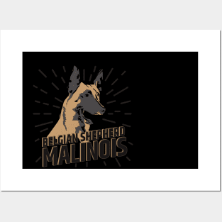 Malinois  - Belgian shepherd - Mechelaar Posters and Art